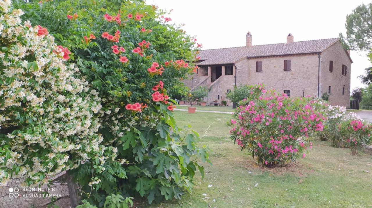 Agriturismo Podere Luchiano Amelia Εξωτερικό φωτογραφία
