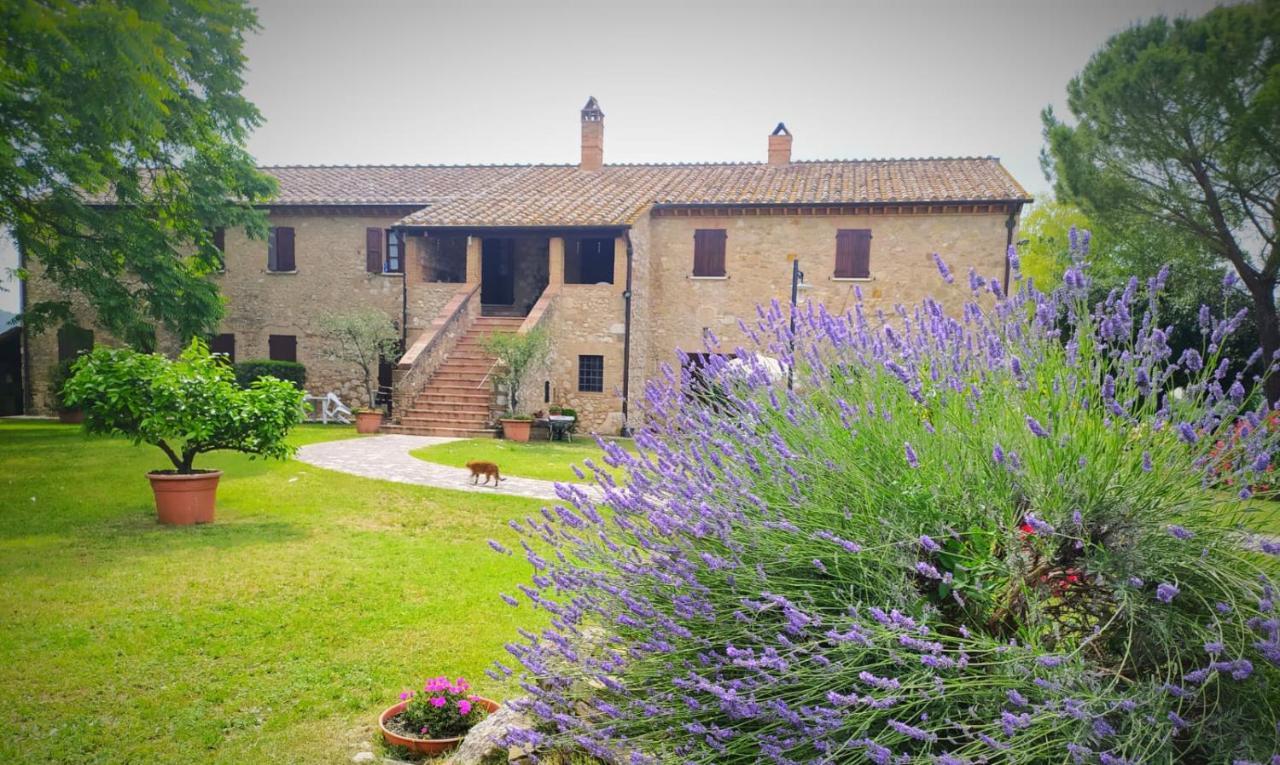 Agriturismo Podere Luchiano Amelia Εξωτερικό φωτογραφία