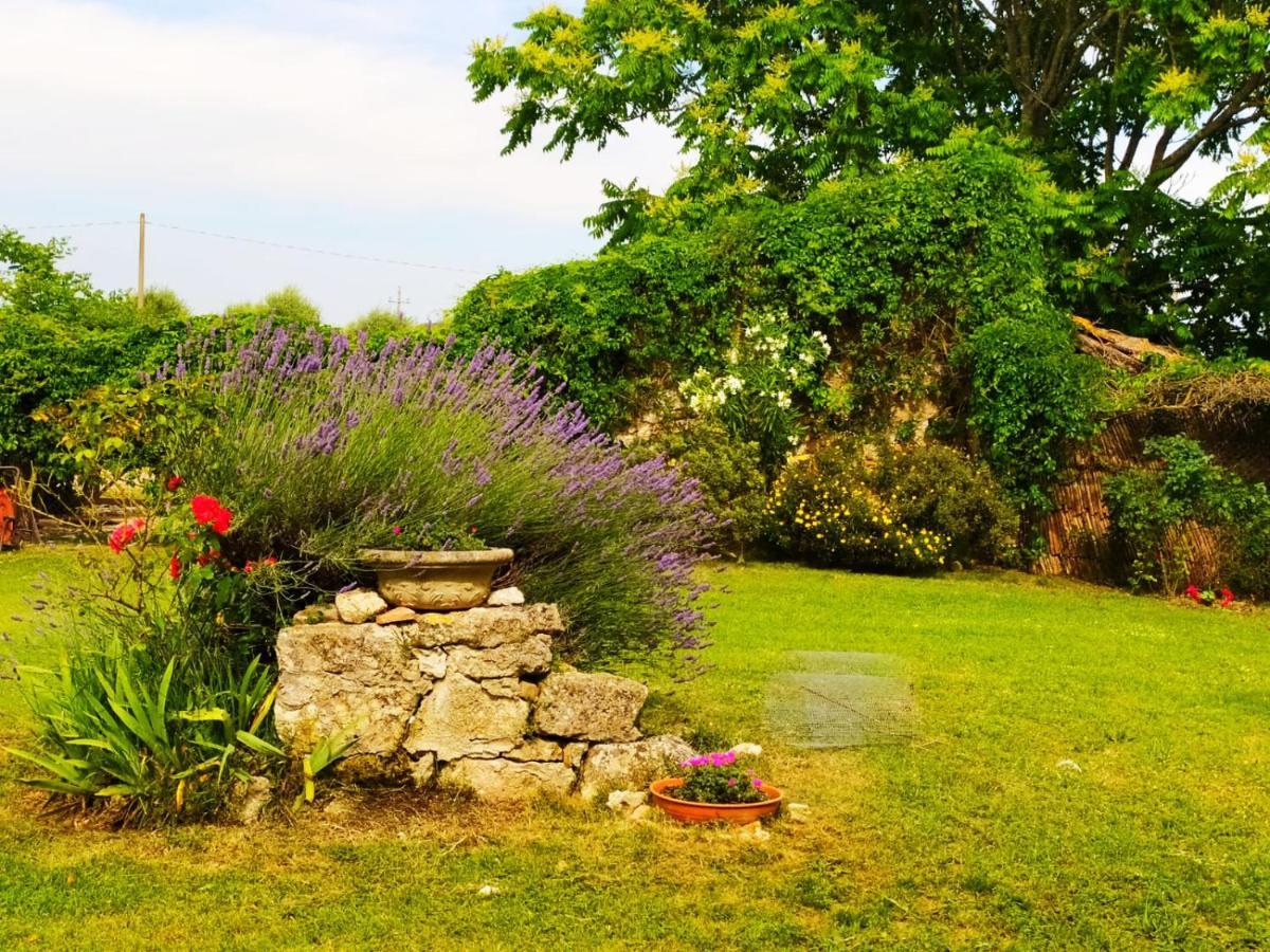 Agriturismo Podere Luchiano Amelia Εξωτερικό φωτογραφία