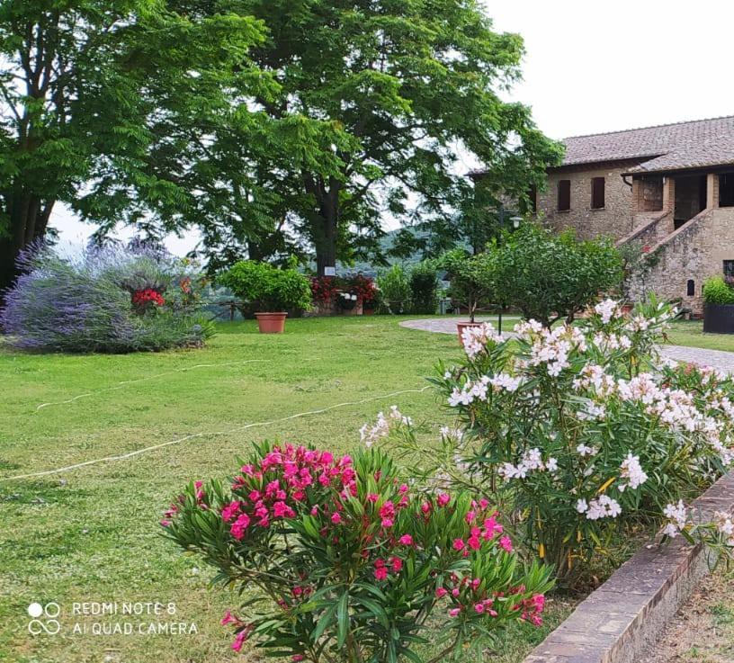 Agriturismo Podere Luchiano Amelia Εξωτερικό φωτογραφία