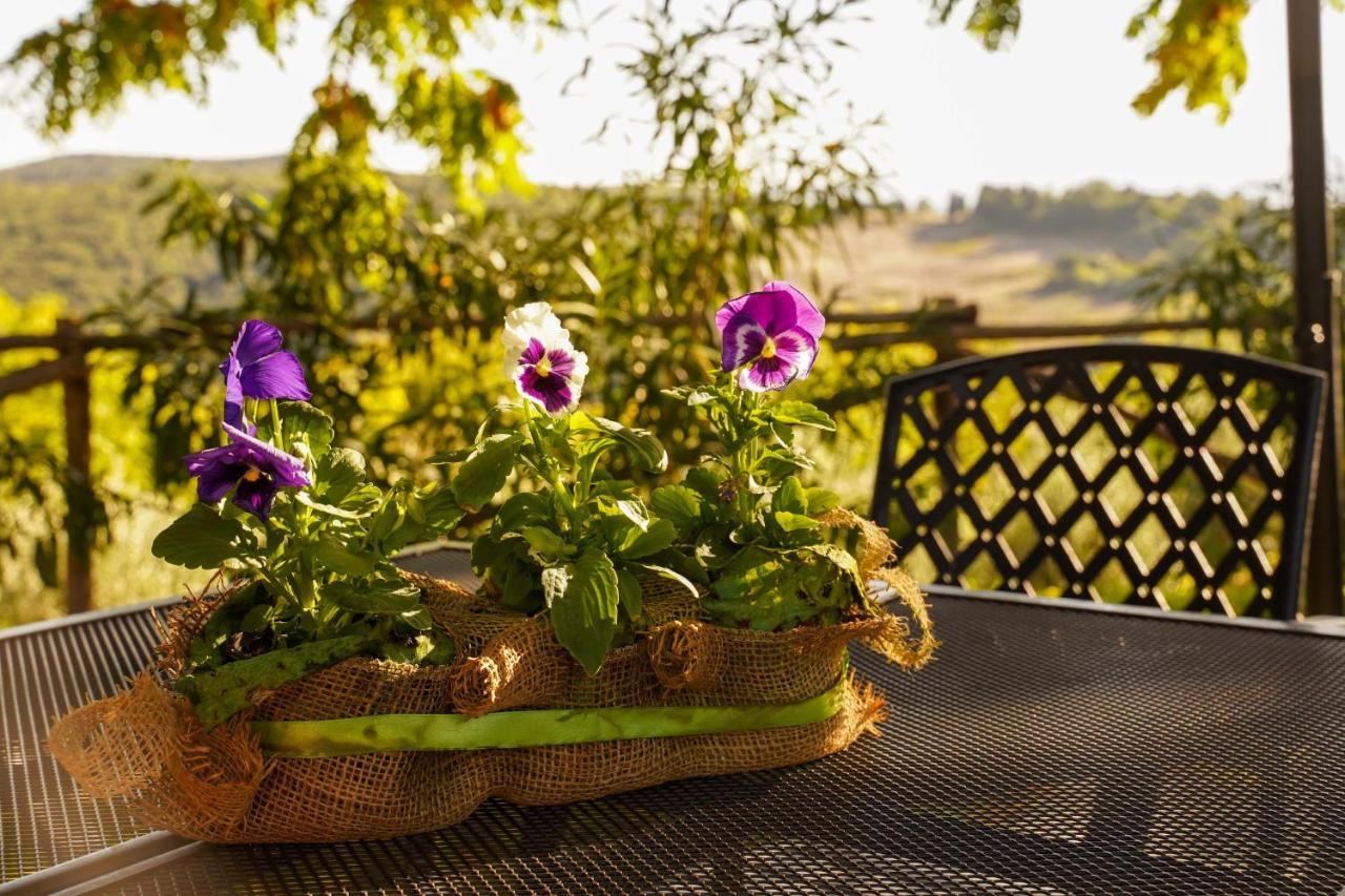 Agriturismo Podere Luchiano Amelia Εξωτερικό φωτογραφία
