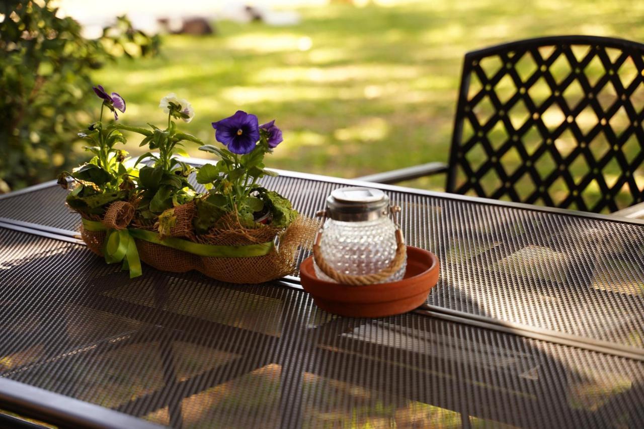 Agriturismo Podere Luchiano Amelia Εξωτερικό φωτογραφία