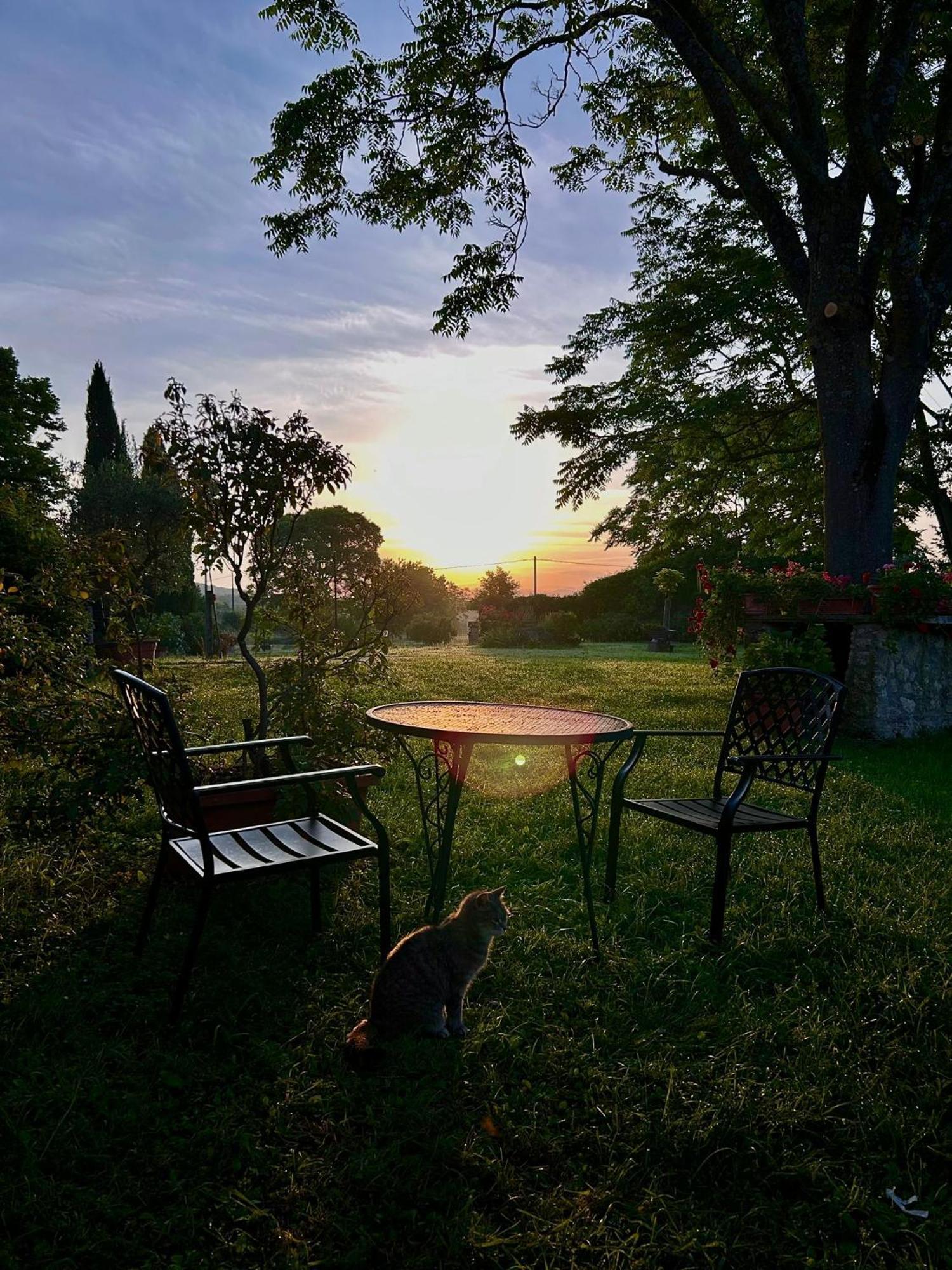 Agriturismo Podere Luchiano Amelia Εξωτερικό φωτογραφία