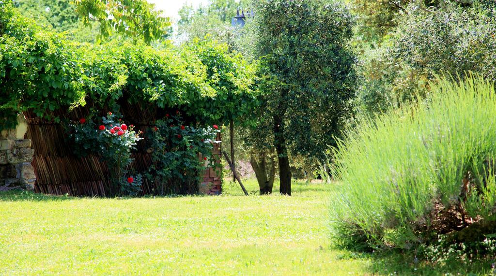 Agriturismo Podere Luchiano Amelia Εξωτερικό φωτογραφία