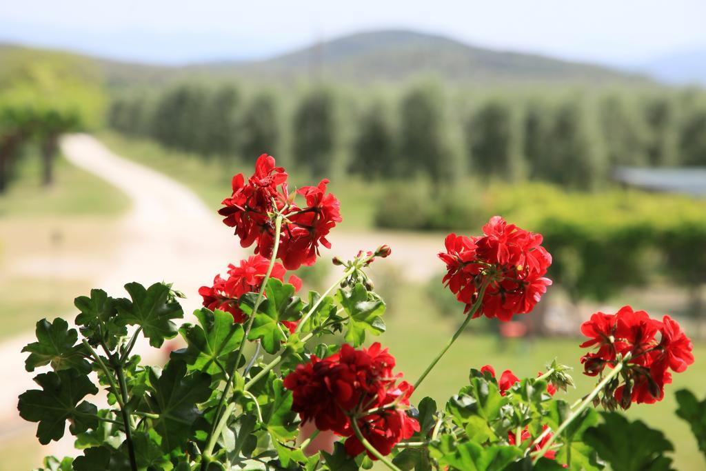 Agriturismo Podere Luchiano Amelia Εξωτερικό φωτογραφία