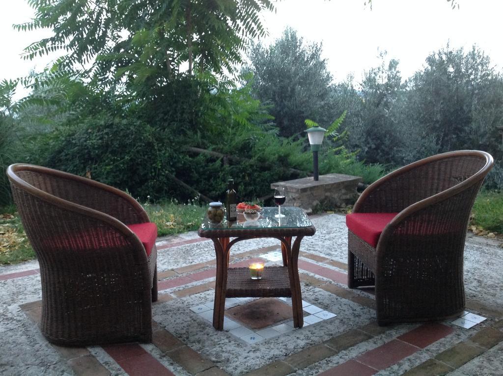 Agriturismo Podere Luchiano Amelia Εξωτερικό φωτογραφία