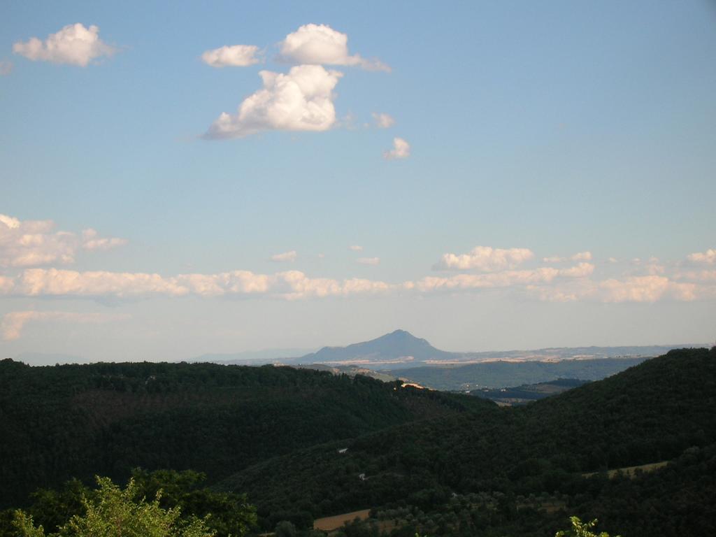 Agriturismo Podere Luchiano Amelia Εξωτερικό φωτογραφία