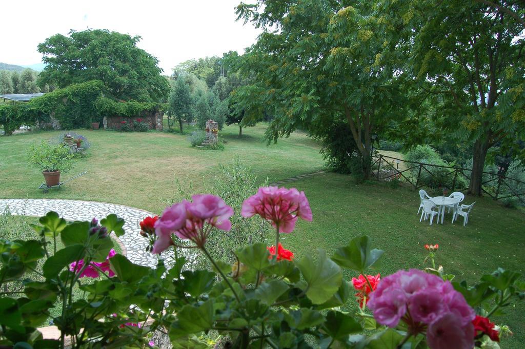 Agriturismo Podere Luchiano Amelia Εξωτερικό φωτογραφία